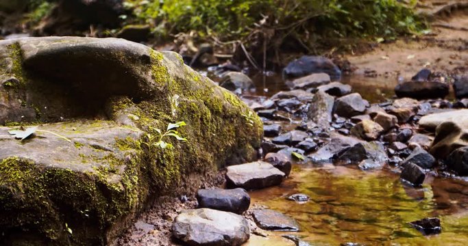 Moss covered rock next to babbling stream. 4k 24 fps raw video.