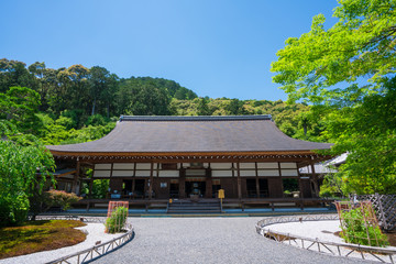 京都　二尊院の本堂　新緑