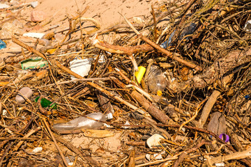 marine pollution on a beach of the Baltic sea in Poland