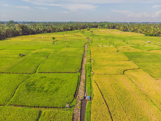 Image of beautiful Terraced rice field in water season and Irrigation from drone,Top view of rices paddy