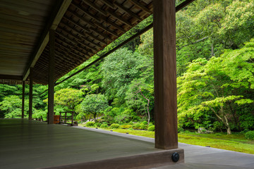 京都　南禅寺　南禅院の新緑
