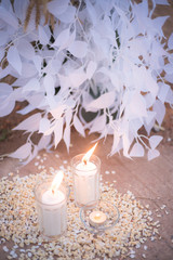 Little candle with white plant