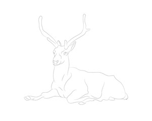 Fototapeta na wymiar vector illustration of a deer who lies, drawing lines, vector