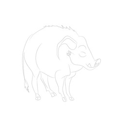 vector illustration of a boar who is standing, drawing lines, vector