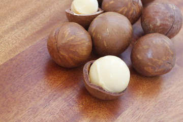 Macadamia nuts close up