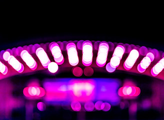 Rows of illuminated globes under the marquee as is often used at the entrance to theatres and casinos