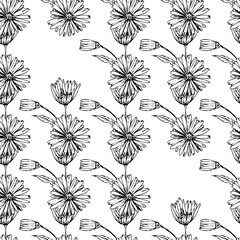 Flower graphic design. Cute seamless vector tile pattern. Retro vintage. line chamomile design.