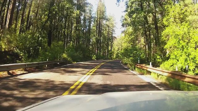 Driver Viewpoint Car On Arizona Hwy 89A In Oak Creek Canyon