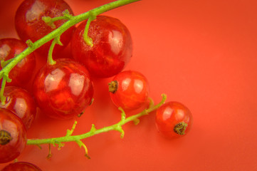Red currants from the fridge with condensate droplets. Fresh berry. Chilled fruits. Red background, free space, pattern.