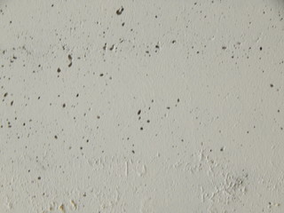 Light gray textured surface, building panel
