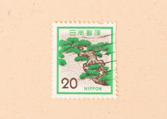 JAPAN - CIRCA 1980: A stamp printed in Japan shows a bonsai tree, circa 1980