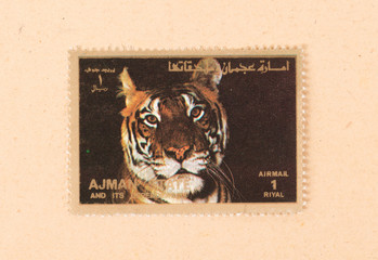 UNITED ARAB EMIRATES - CIRCA 1980: A stamp printed in the UAE shows a tiger, circa 1980