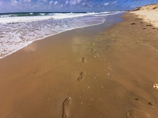 sun beach france surfer wind sand