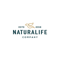 Bird logo design concept. Universal bird logo.