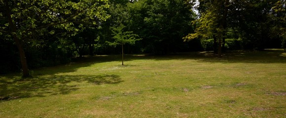 Green Impressions from the Goethe Park in Berlin-Wedding on June, 2, 2015, Germany