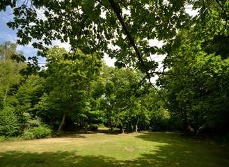 Green Impressions from the Goethe Park in Berlin-Wedding on June, 2, 2015, Germany