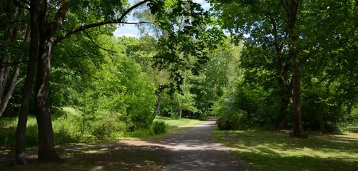Green Impressions from the Goethe Park in Berlin-Wedding on June, 2, 2015, Germany