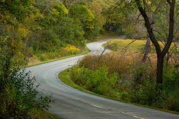 road in the forest