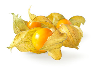 physalis isolated on white background