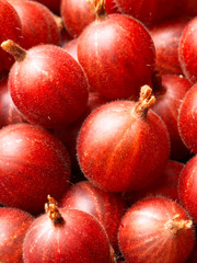 red apples on black background