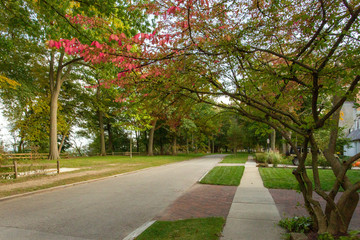 road in the park