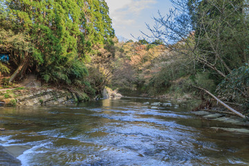 春の養老渓谷の中瀬遊歩道からみた風景