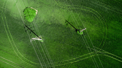 aerial view of grass field. natural amazing romantic green spring summer background. road and tree in the shape of a heart. drone shot. Farmland from above.