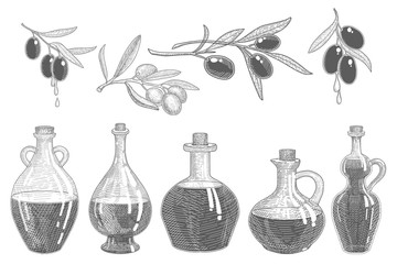 Olive oil bottles and olive branches hand drawn illustration set .