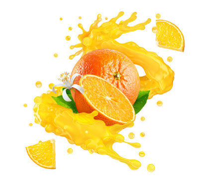 Fresh ripe orange fruits and orange juice or smoothie splash twisted. Tasty vitamin citrus juice splashing, orange juice or smoothie isolated. Healthy orange drink tropical fruit label design element