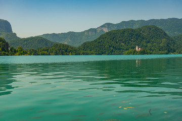 gorgeous Lake Bled in Slovenia at summer time June