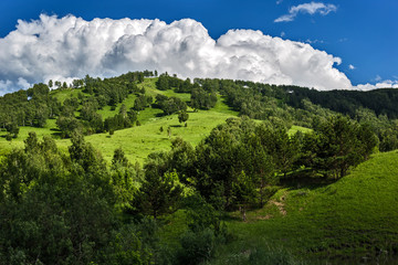 Fototapeta premium landscape in the mountains