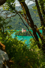 gorgeous Lake Bled in Slovenia at summer time June