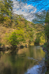 Fototapeta na wymiar 春の養老渓谷の中瀬遊歩道からみた風景