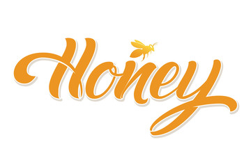 Fototapeta na wymiar Hand drawn lettering Honey. Elegant modern handwritten calligraphy. Vector Ink illustration. Typography poster on white background with honey bee. For cards, invitations, prints etc.