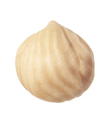 Single hazelnut isolated on white background