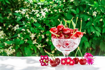 Fresh cherries in crystal bowl on a table with a white cloth and decor of flowers on a green natural background of blurred flowers. Concept of healthy food, vitamin C. Copy space for your text