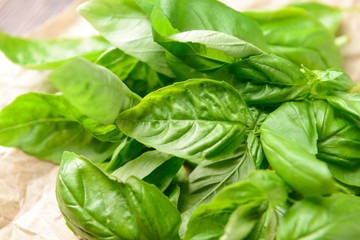Fresh green basil, closeup view
