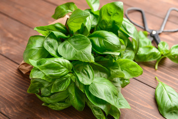 Fresh basil on wooden background