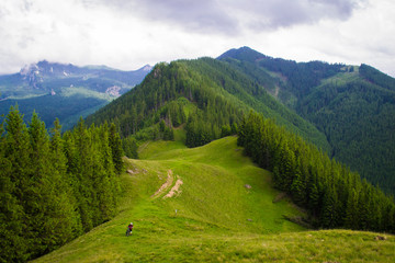 Fototapeta na wymiar cyclist rides in the mountains. Romanian Carpathians