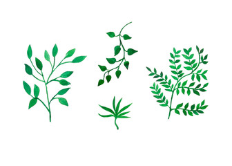 set di piante differenti acquerello su sfondo bianco