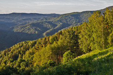 Fototapeta premium landscape in the mountains