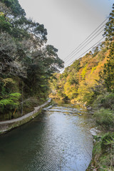 春の養老渓谷の共栄橋からみた風景