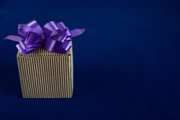 Gift cardboard box with bow blue background made of velvet fabric factory
