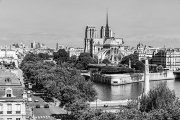 Notre Dame de Paris Cathedral on the Cite Island. Paris, France - 275056739