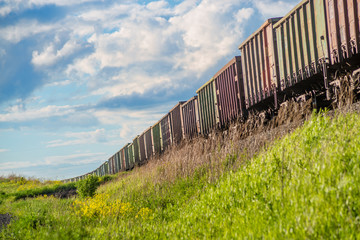 Fototapeta premium Rural summer landscape with freight train passing field at sunny day 