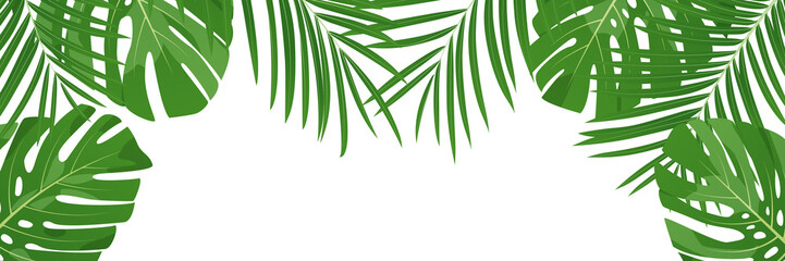 Palm background. Isolated tropical coconut and monstera jungle leaves banner.