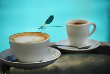 Blue dragonfly crouching on the edge of a cup of cappuccino in the background pool water. Mood summer vacation.