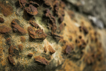 Rocky, old surface closeup