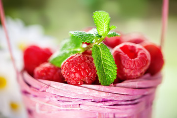 Fresh raspberries in a basket on a wooden table in the garden. Summer and healthy food concept. Selective focus.