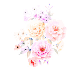 Elegant watercolor peony flower rose flower
